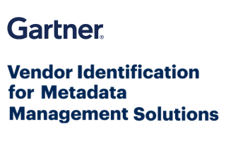 Gartner Meta Management Badge