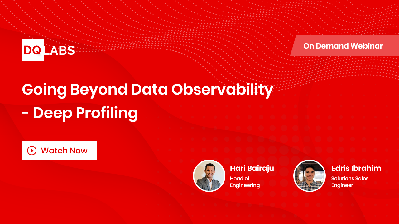 Going Beyond Data Observability - Deep Profiling
