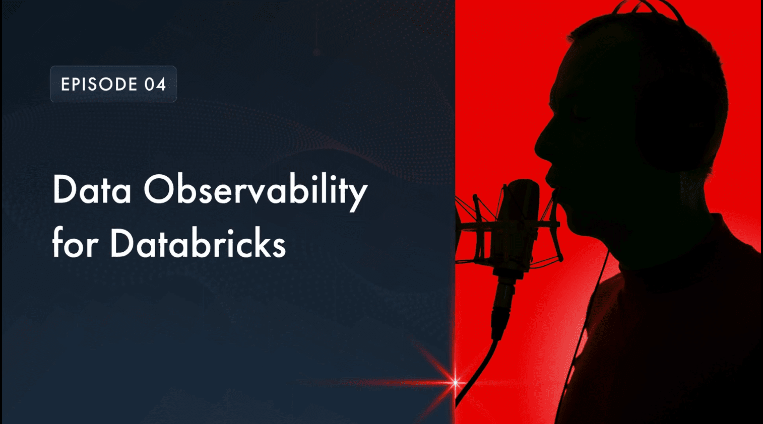 Data Observability for Databricks